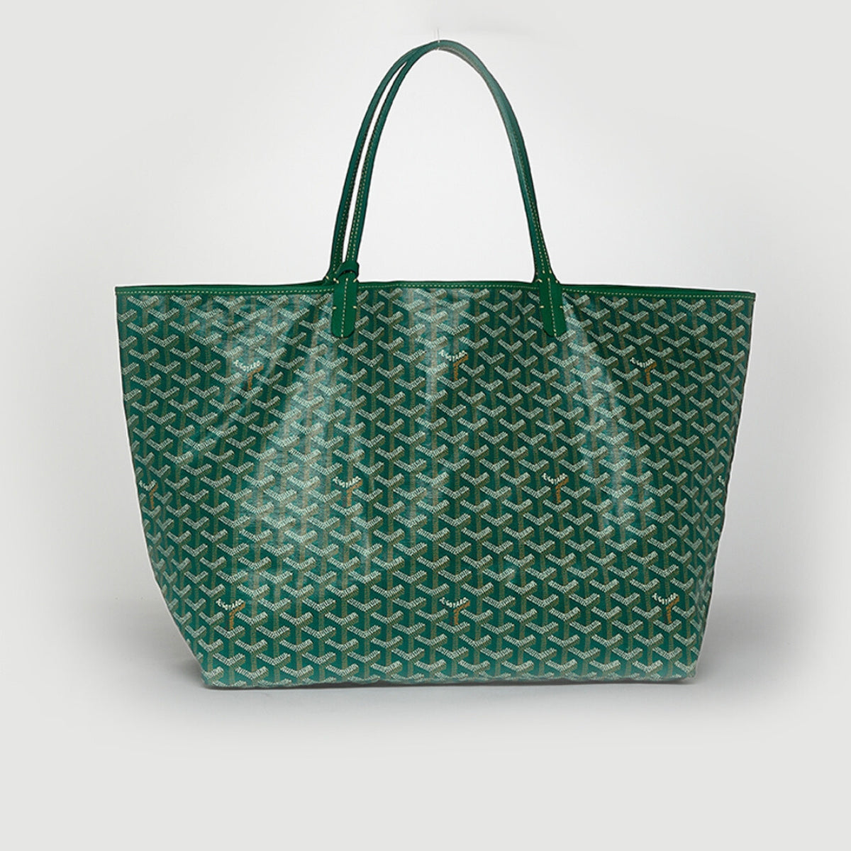 Saint Louis GM Canvas and Leather-Trim Tote in Green