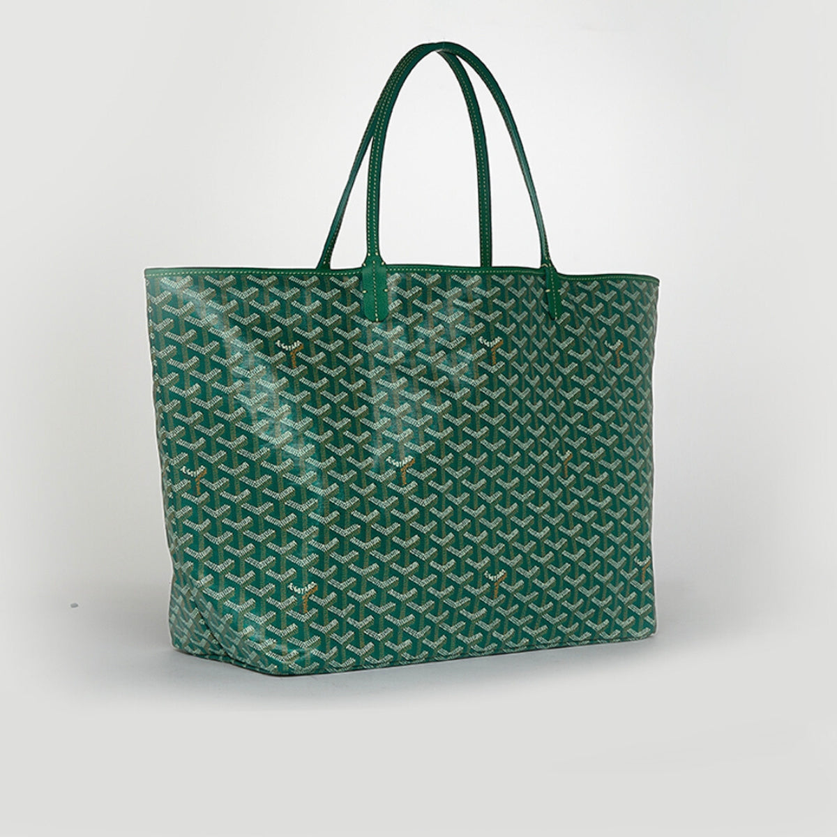 Saint Louis GM Canvas and Leather-Trim Tote in Green