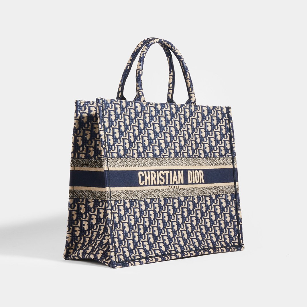 Christian dior book cheap tote oblique bag