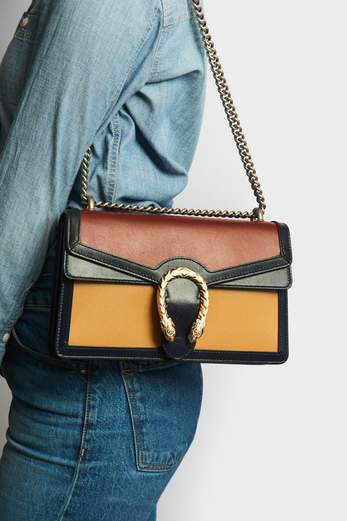 Dionysus Small Shoulder Bag in Brick and Sand