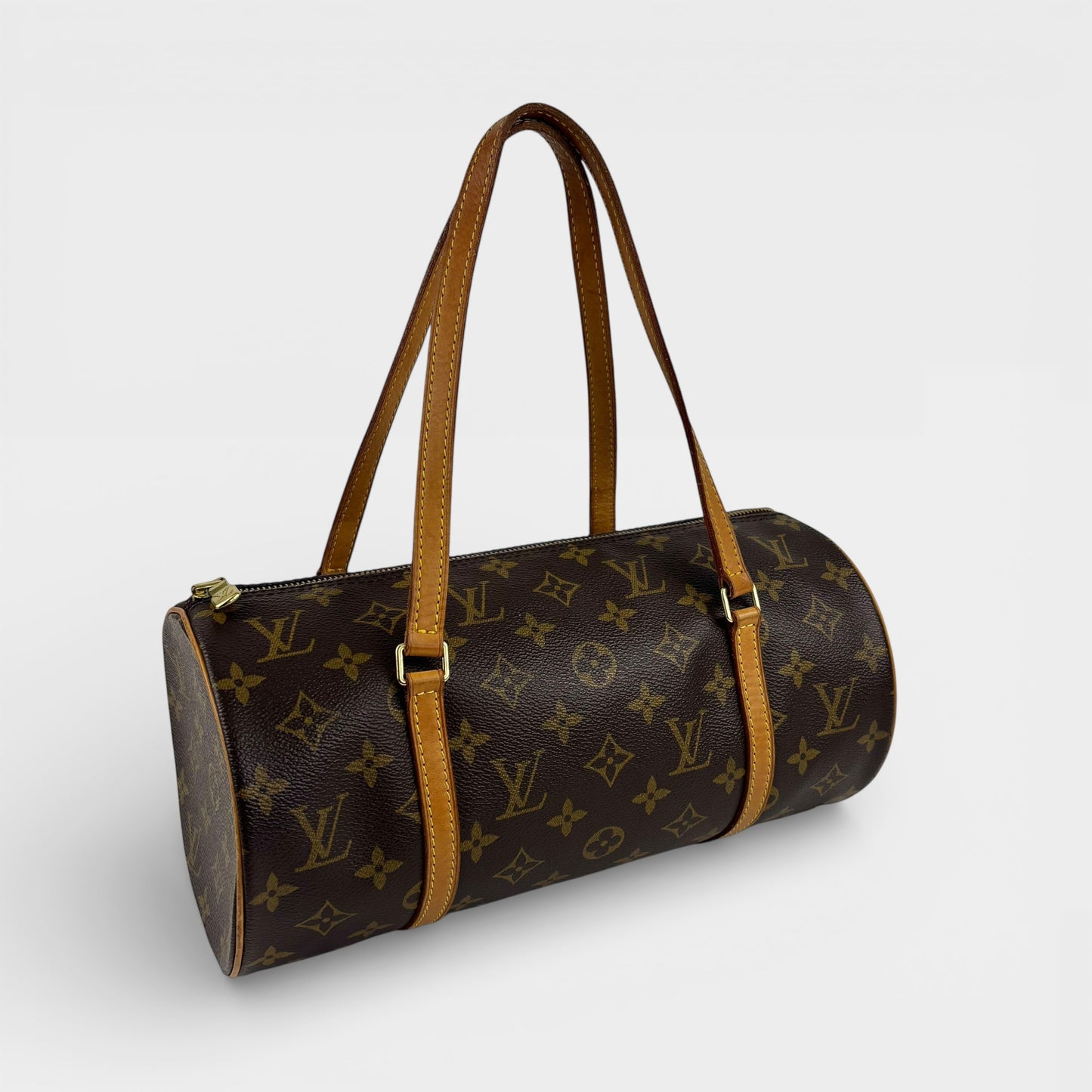 Papillon 30 in Monogram Canvas