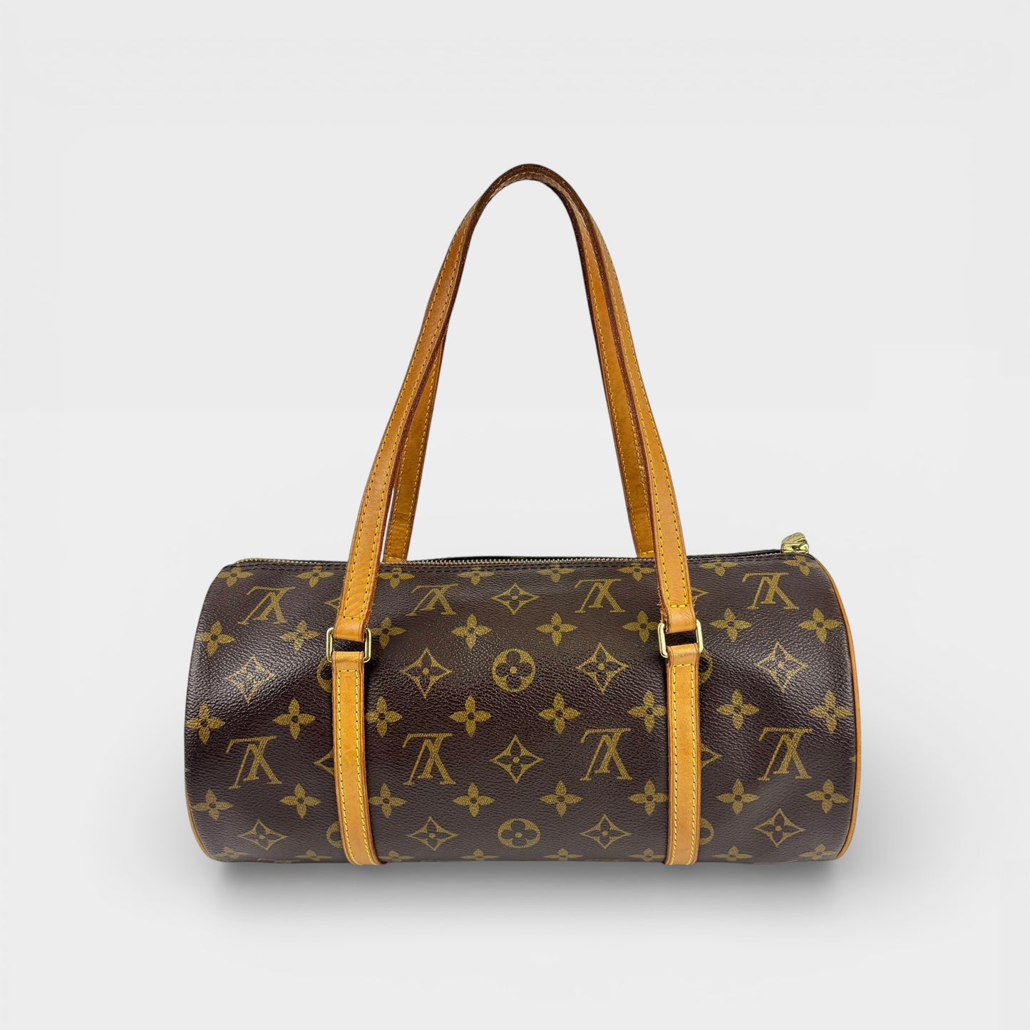 Papillon 30 in Monogram Canvas