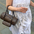 Papillon 30 in Monogram Damier