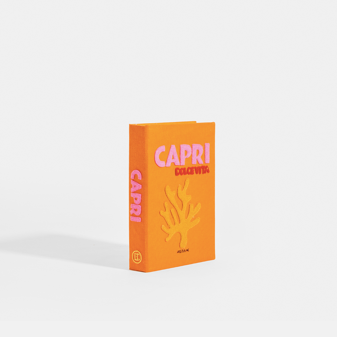 OLYMPIA LE-TAN Book Clutch Capri in Orange