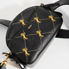 Load image into Gallery viewer, Top view of the CHLOÉ Studded Embroidered Leather Shoulder Bag