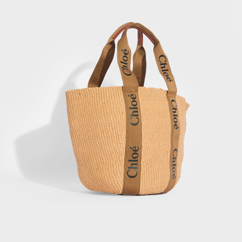 Woody Printed Canvas and Leather-trimmed Raffia Tote
