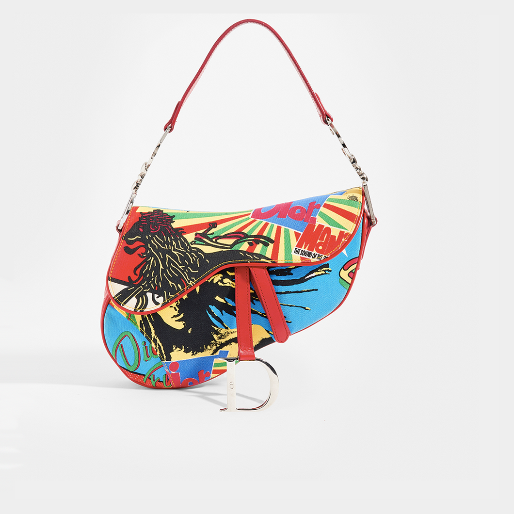 Dior sales saddle rasta