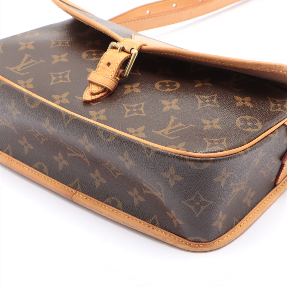 Monogram Sologne Shoulder Bag in Monogram Canvas 2011