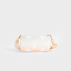 LOUIS VUITTON Multi Pochette Accessoires in Brume