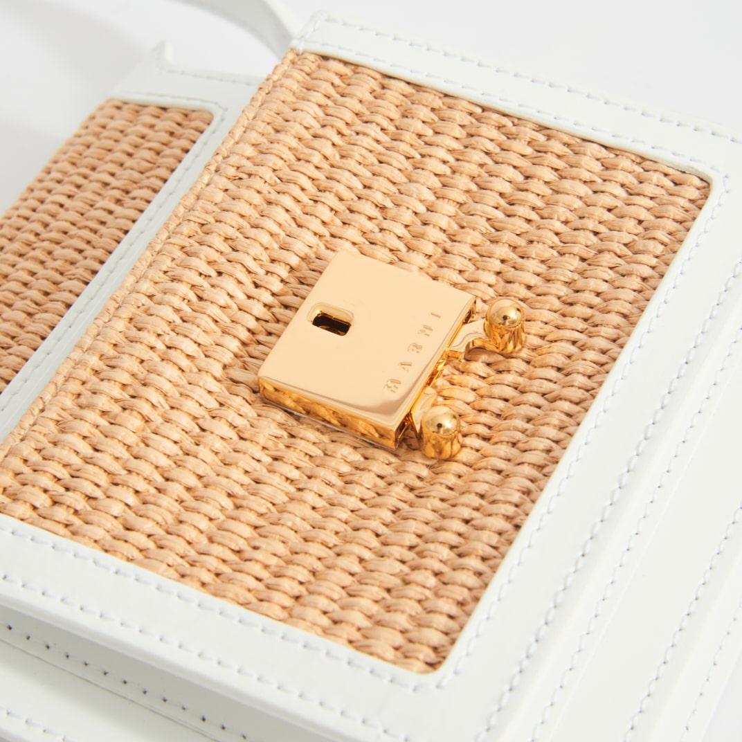 Mini Raffia Trunk Crossbody Bag in White